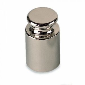 Picture of Class M1 Weight of 100 g  for XS Balances 27000813